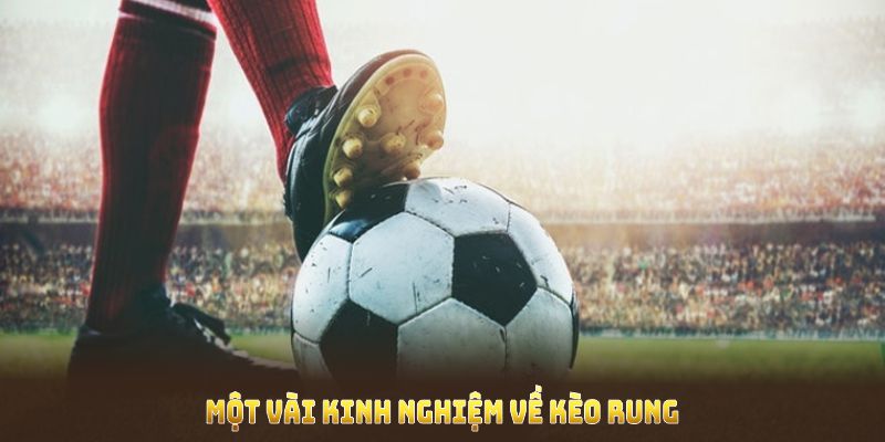 Một vài kinh nghiệm về kèo Rung giúp nâng cao cơ hội thắng lợi